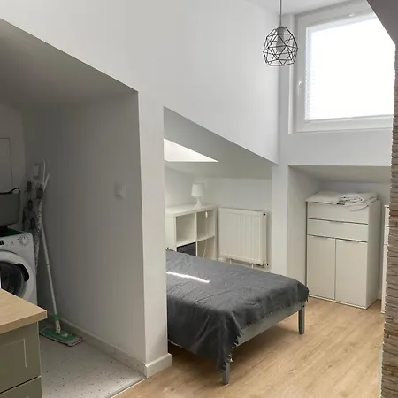 شقة #visitlublinapartments Chopina 5 لوبلين
